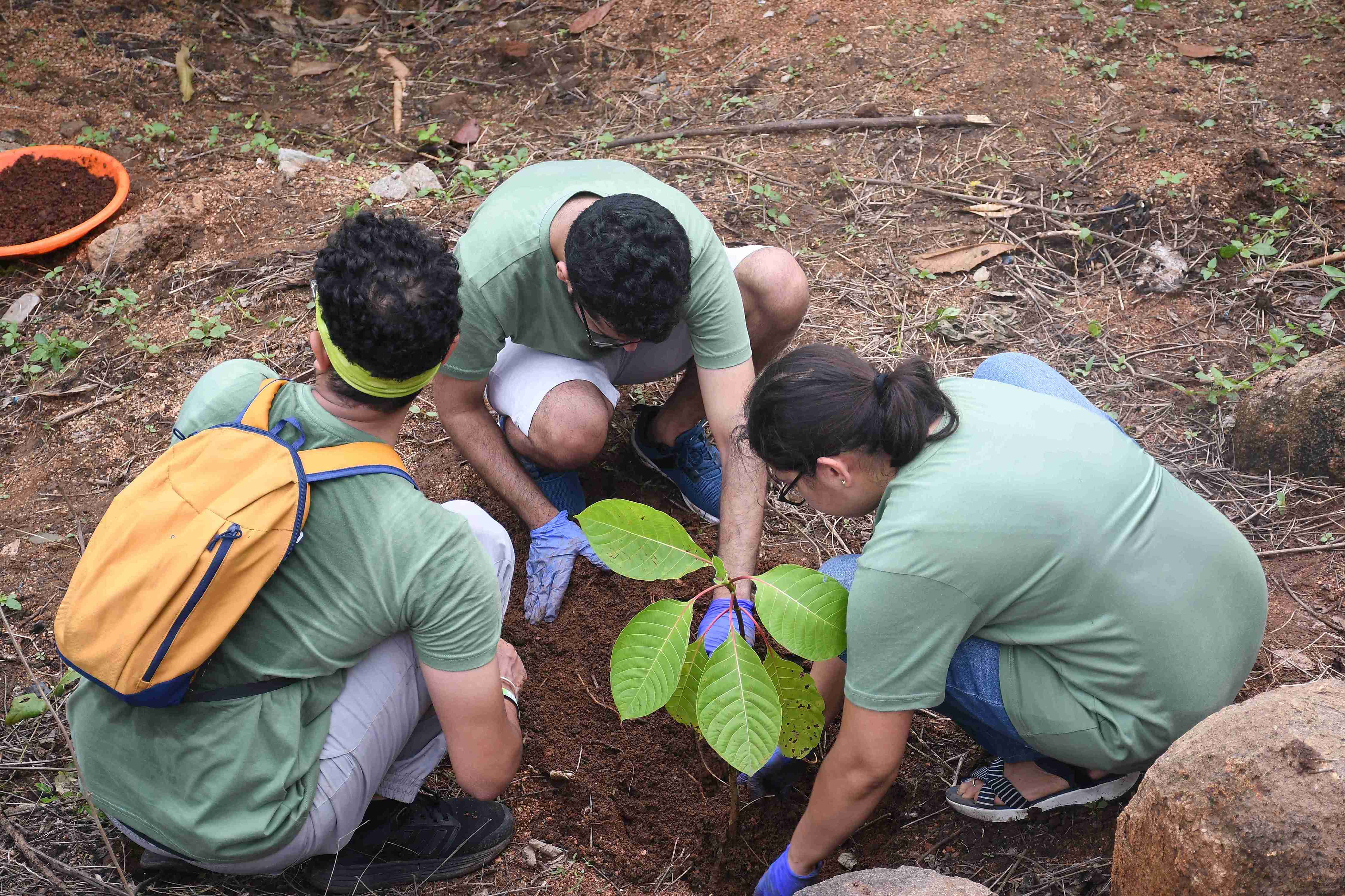 Plantation & Kitchen Gardens Program
