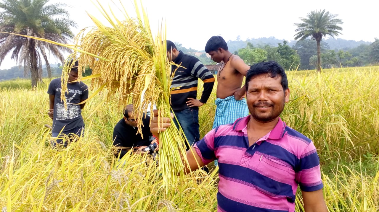 Sustainable Agriculture Program