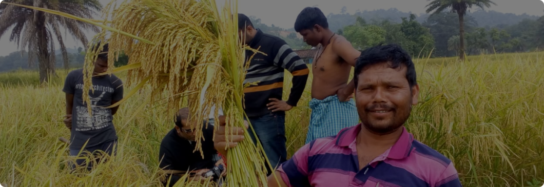 Sustainable Agriculture Program